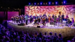 Ondes plurielles Guelfucci